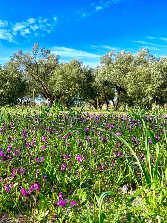 Alacati Barbarossa Hotel Çeşme Εξωτερικό φωτογραφία