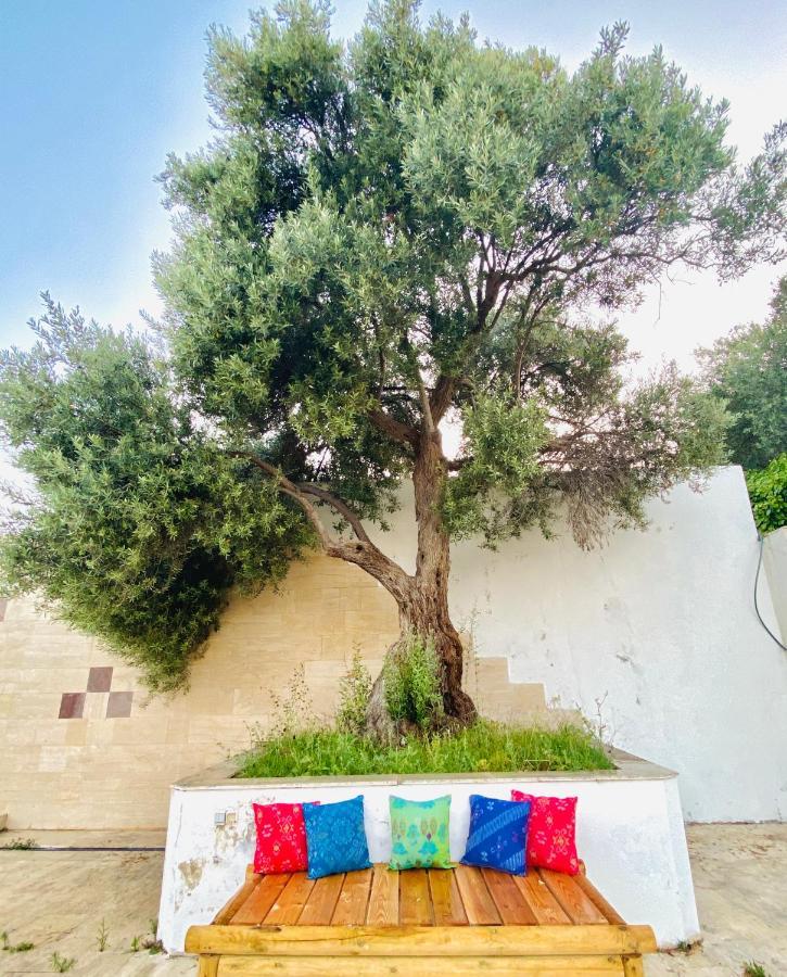 Alacati Barbarossa Hotel Çeşme Εξωτερικό φωτογραφία