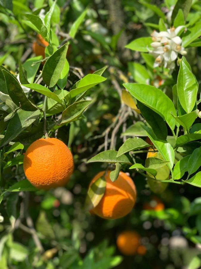 Alacati Barbarossa Hotel Çeşme Εξωτερικό φωτογραφία
